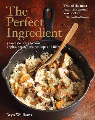 Book cover for The Perfect Ingredient