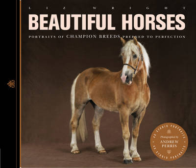 Book cover for Beautiful Horses