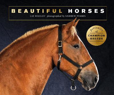 Book cover for Beautiful Horses