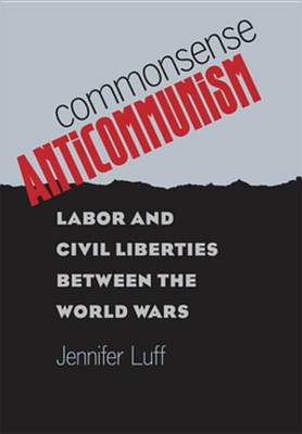 Book cover for Commonsense Anticommunism