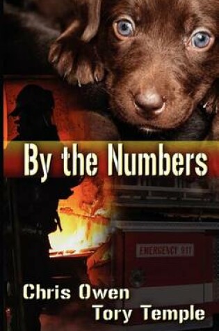 Cover of By the Numbers