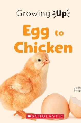 Cover of Egg to Chicken (Growing Up)
