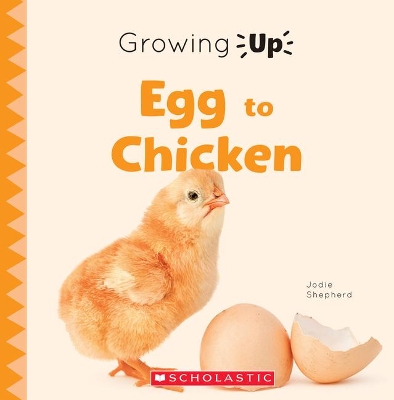 Book cover for Egg to Chicken (Growing Up)