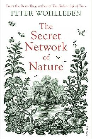 Cover of The Secret Network of Nature