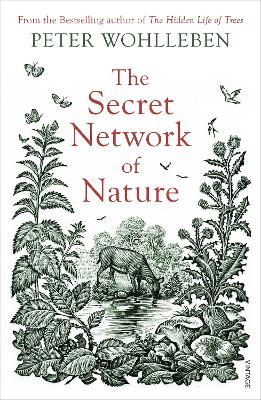 Book cover for The Secret Network of Nature