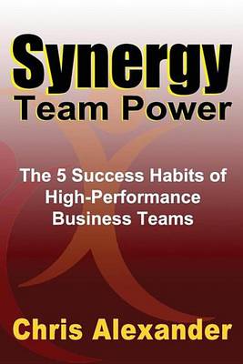 Book cover for Synergy Team Power