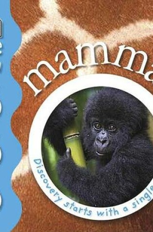 Cover of Mammal