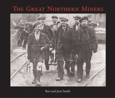 Book cover for The Great Northern Miners