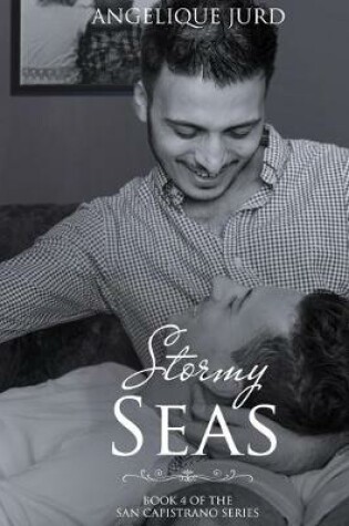 Cover of Stormy Seas
