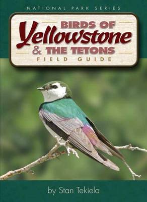Book cover for Birds of Yellowstone & Tetons Field Guide
