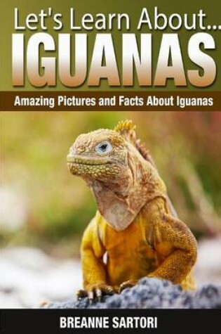 Cover of Iguanas