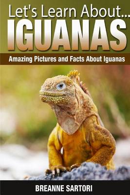 Book cover for Iguanas