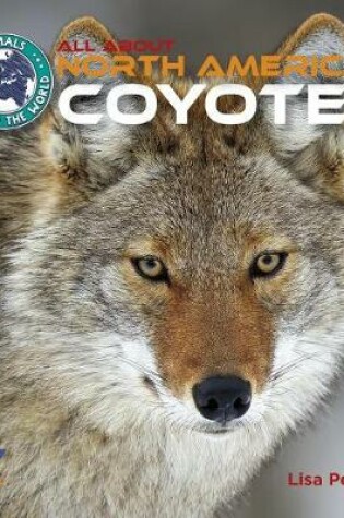 Cover of All about North American Coyotes