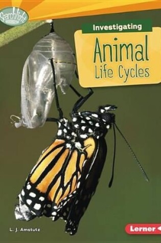 Cover of Investigating Animal Life Cycles