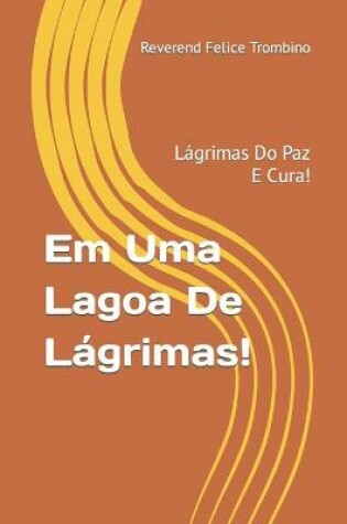 Cover of Em Uma Lagoa De Lagrimas!