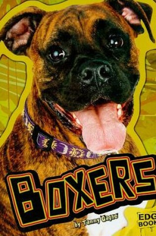 Cover of Boxers