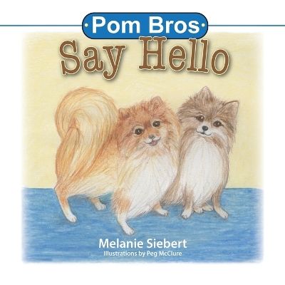 Book cover for Pom Bros