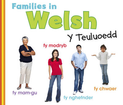 Book cover for Families in Welsh: Y Teuluoedd