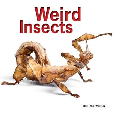 Book cover for Weird Insects