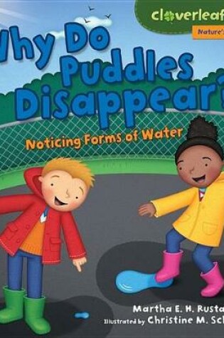 Cover of Why Do Puddles Disappear?