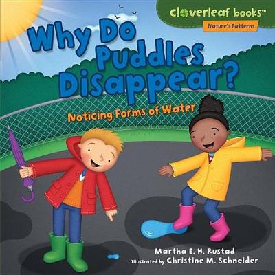 Book cover for Why Do Puddles Disappear?