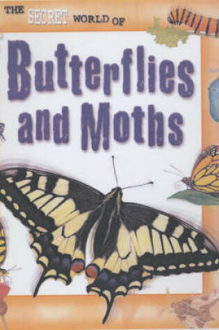 Cover of Butterflies