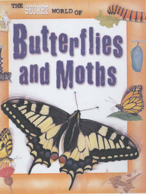 Cover of Butterflies