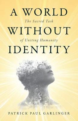 Book cover for A World Without Identity