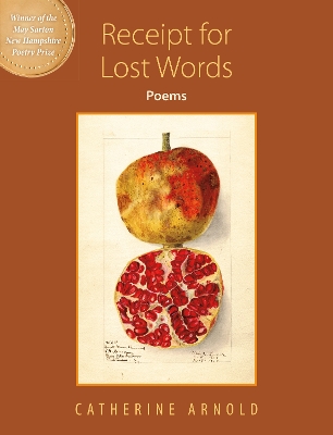 Book cover for Receipt For Lost Words