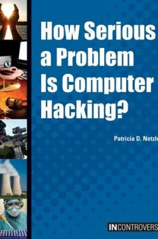 Cover of How Serious a Problem Is Computer Hacking?