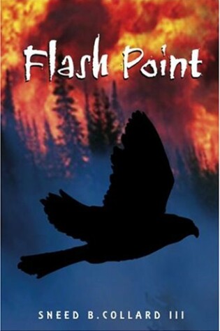 Cover of Flash Point