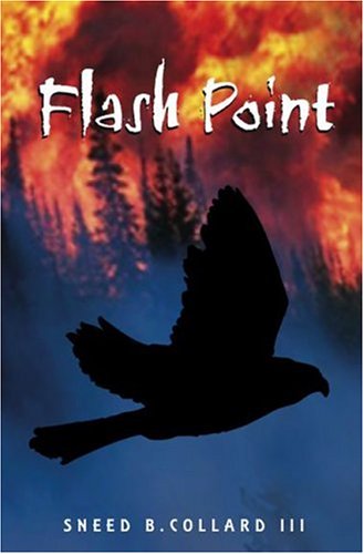 Book cover for Flash Point