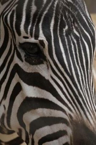 Cover of Up Close and Personal with a Zebra Journal