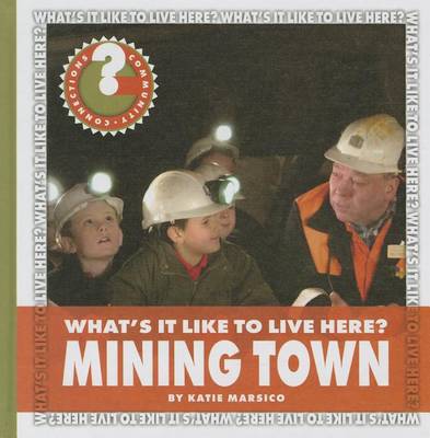 Book cover for What's It Like to Live Here? Mining Town