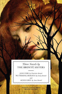 Book cover for Three Novels by the Bronte Sisters