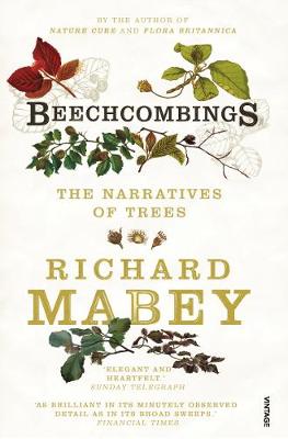 Book cover for Beechcombings
