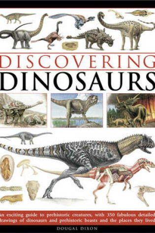 Cover of Discovering Dinosaurs