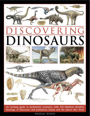 Book cover for Discovering Dinosaurs