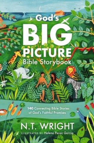 Cover of God's Big Picture Bible Storybook