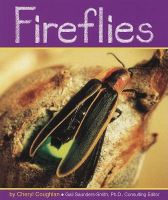 Cover of Fireflies