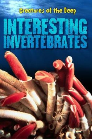 Cover of Interesting Invertebrates