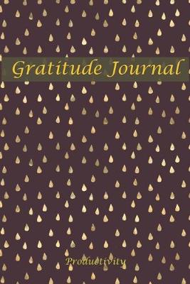 Book cover for Gratitude Journal Productivity