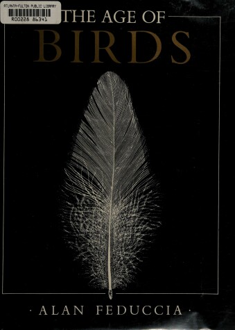 Book cover for Age of Birds