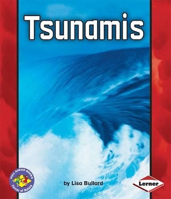 Book cover for Tsunamis