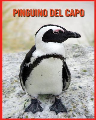 Book cover for Pinguino del Capo