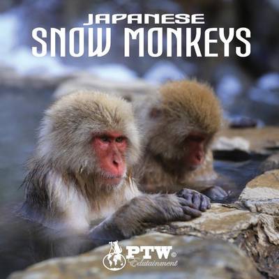 Book cover for Japanese Snow Monkeys