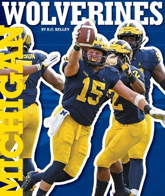 Book cover for Michigan Wolverines