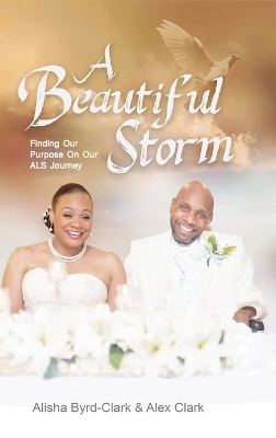 Book cover for A Beautiful Storm