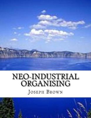 Book cover for Neo-Industrial Organising