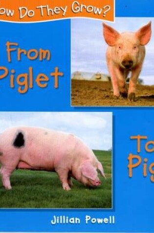 Cover of Piglet to Pig